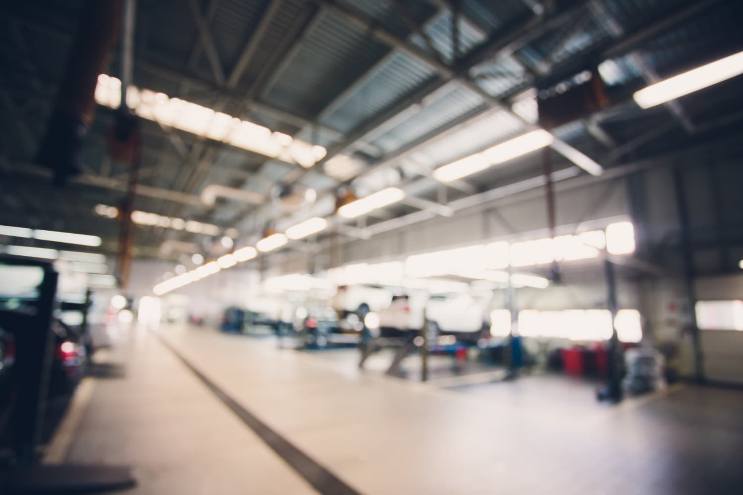 speciality Background